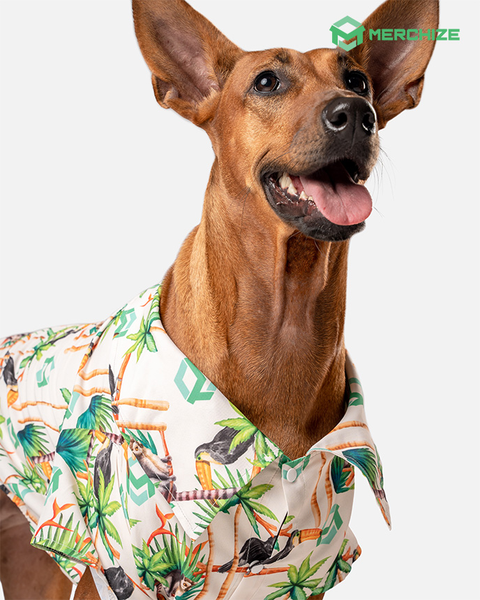 pet hawaiian shirt dog collar
